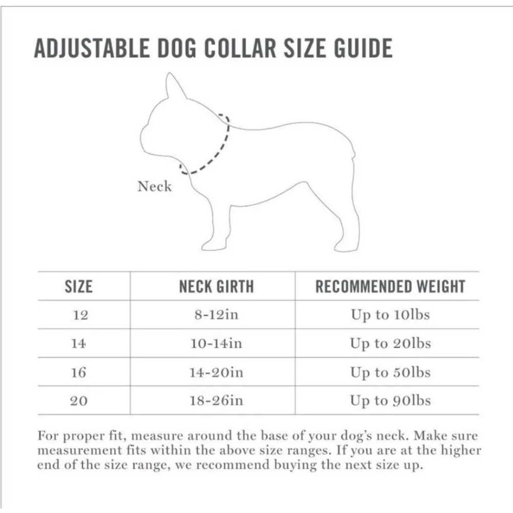 Martha Stewart | Dog Collar Size 16 Gray and Blue